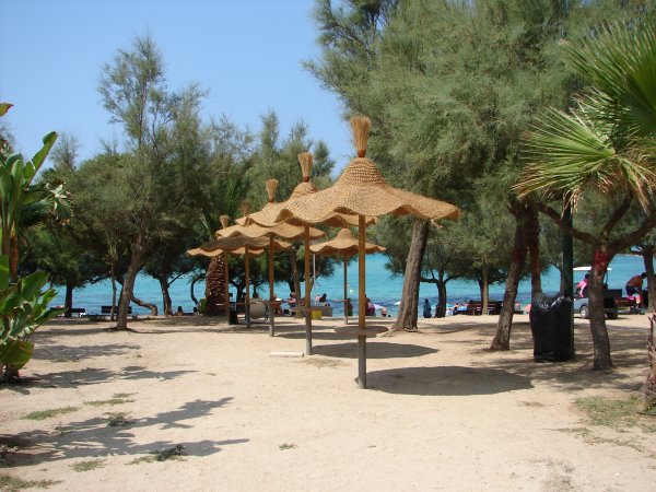 Torre Castiglione Camping Village