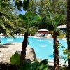 Piscina con palme e sedie a sdraio.