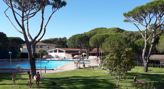 Area piscina all'aperto con persone su un prato verde, pini e edifici sullo sfondo.
