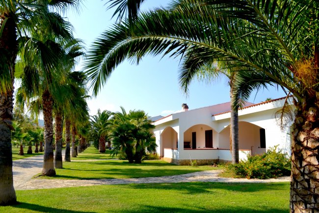 Una fila di palme costeggia un sentiero che conduce a una costruzione bianca con archi.