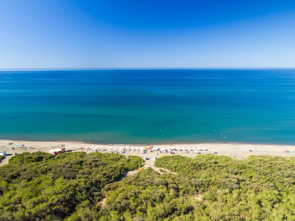Vista aerea di una spiaggia con vegetazione costiera, mare blu e cielo sereno.