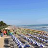 Spiaggia con file di ombrelloni blu e bianchi; mare a destra e alberi sulla sinistra.