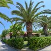 Palme lungo un viale di bungalow con siepi.