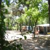 Campeggio tra alberi con tende e roulotte.