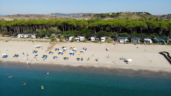 Spiaggia con ombrelloni e sdraio, pineta sullo sfondo, mare calmo.