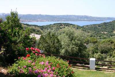 Vista su colline verdi e mare in lontananza, con fiori colorati in primo piano.