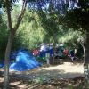 Una tenda blu montata tra alberi in un campeggio verde.
