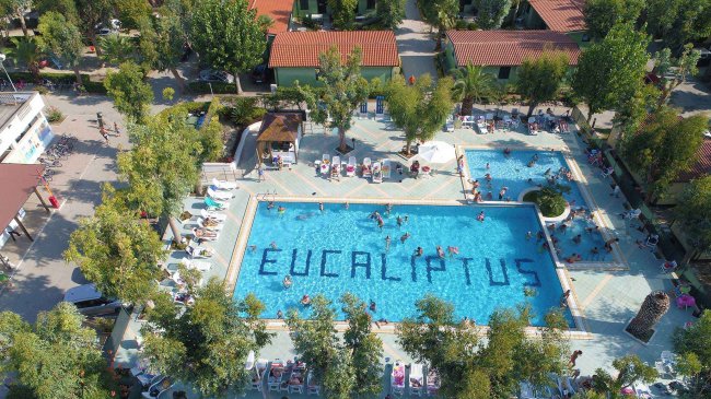 Camping Eucaliptus