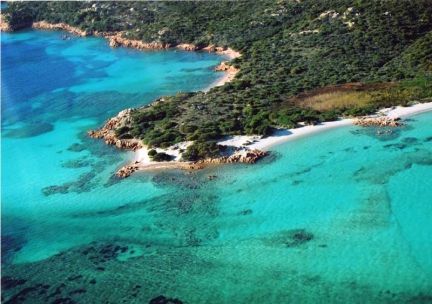 Spiaggia con acqua cristallina e vegetazione verde, vista aerea di una costa rocciosa.
