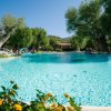 Piscina azzurra circondata da alberi e fiori gialli.